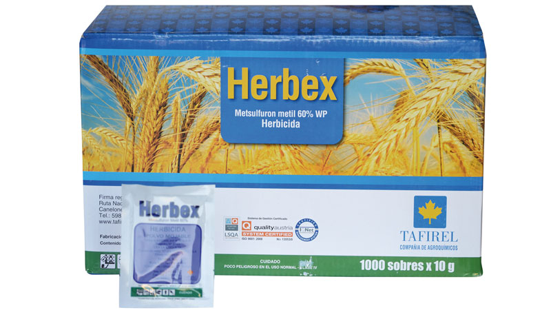 HERBEX (100GRS)